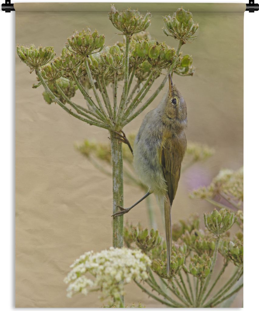 MuchoWow Wandteppich Wandbehang Ein Zilpzalp auf der Suche nach Insekten 120x160 cm Tapisserie Dekoration Wandtuch - Wohnzimmer - Moderne