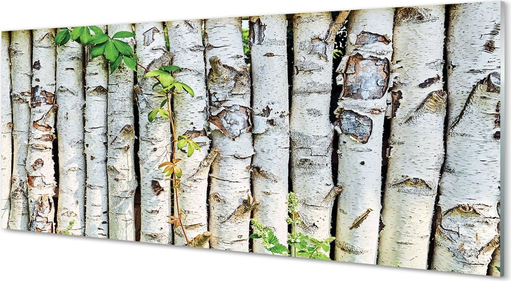 Glasbilder 125x50 Wandkunst Birkenblätter