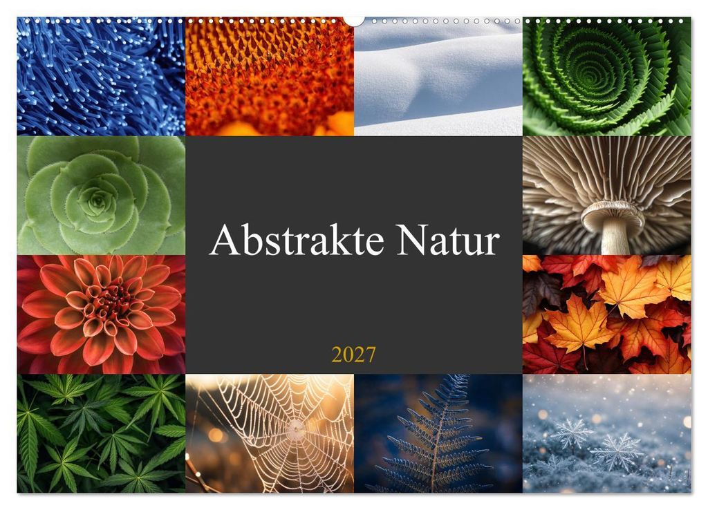 Abstrakte Natur (Wandkalender 2027 DIN A2 quer), CALVENDO Monatskalender
