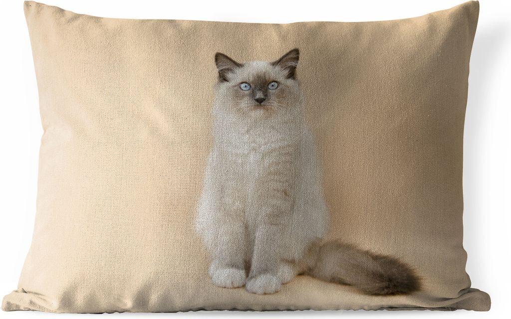 MuchoWow Outdoor Kissen - Katze - Siamese - Porträt - Mädchen - Kinder - Jungen - Kinder - 50x30 cm - Wetterfest - Lounge Kissen - Sofa kissen ...