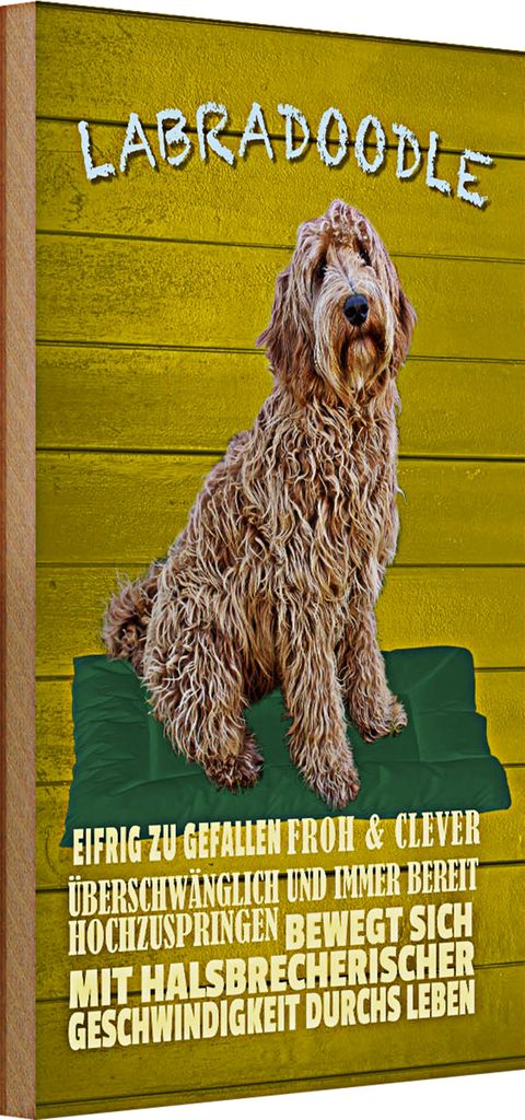 Holzschild Spruch 20x30cm Labradoodle Hund froh und clever
