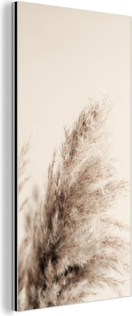 MuchoWow Wanddekoration Metall Metallbild Wandkunst 40x80 cm Pflanzen - Pampaswedel - Pampasgras - Beige - Natur MuchoWow Aluminium Gemälde - Wand...