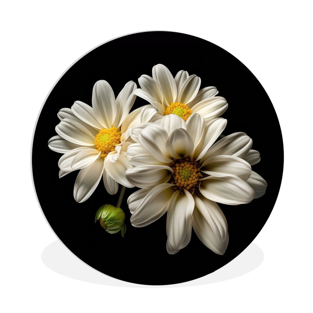 MuchoWow Rundes Wandbild - Runde Bilder Blumen - Gänseblümchen - Weiß - Botanisch - Natur Ø 90 cm Kreis Wanddekoration Kunststoff - Wandkreis...