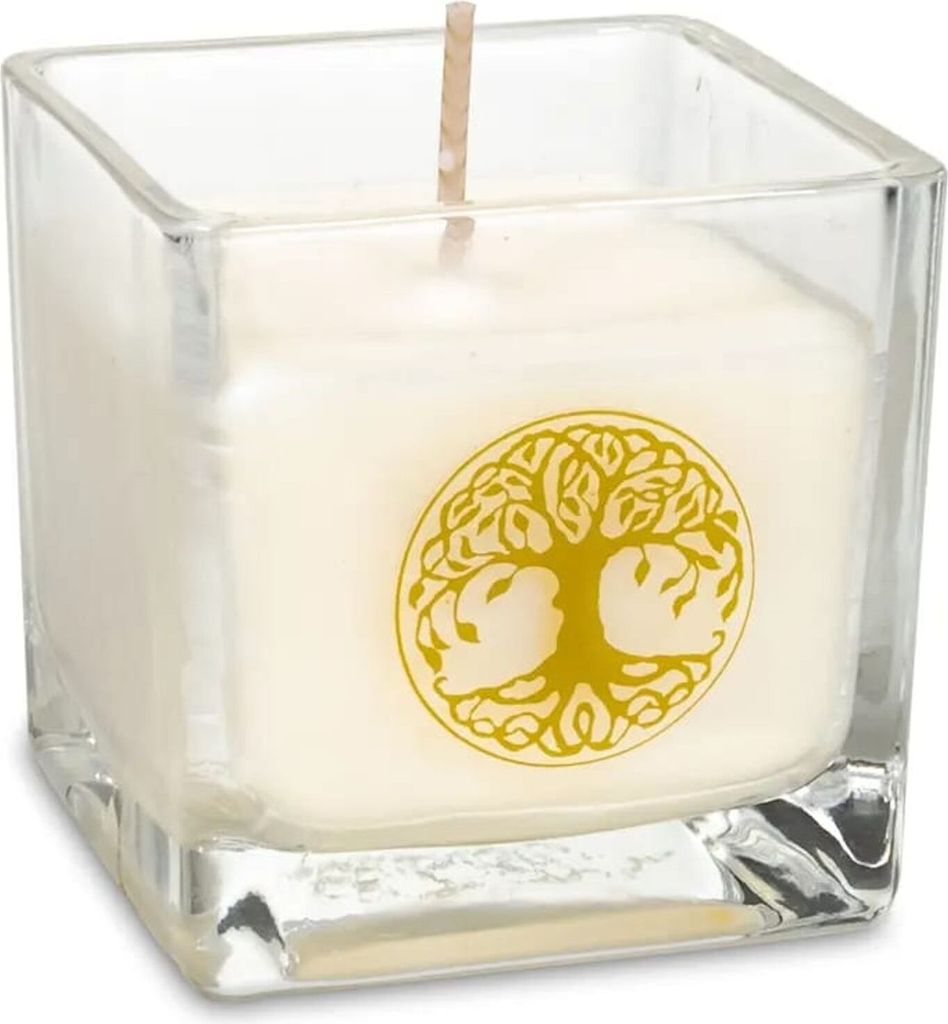 Ökologische Rapswachs-Duftkerze Baum des Lebens -- ±260g; 6x6x6cm