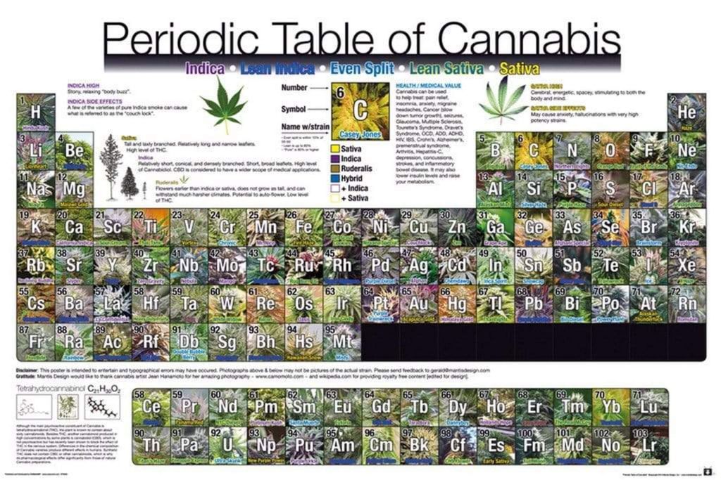 Poster Periodic Table of Cannabis 91.5x61cm. Produktbild 