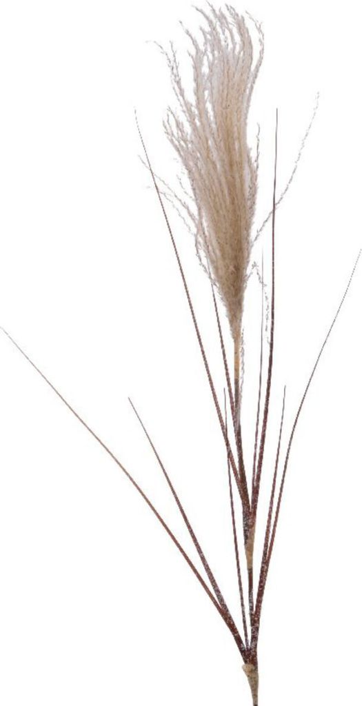 Weihnachtsdeko Pampasgras Natur beschneit 88 cm - Kunstblumen