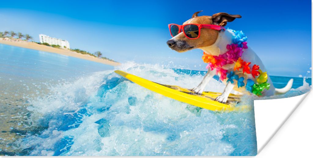 MuchoWow Poster Hund - Blumengirlande - Surfbrett - Sommer 120x60 cm - Bild