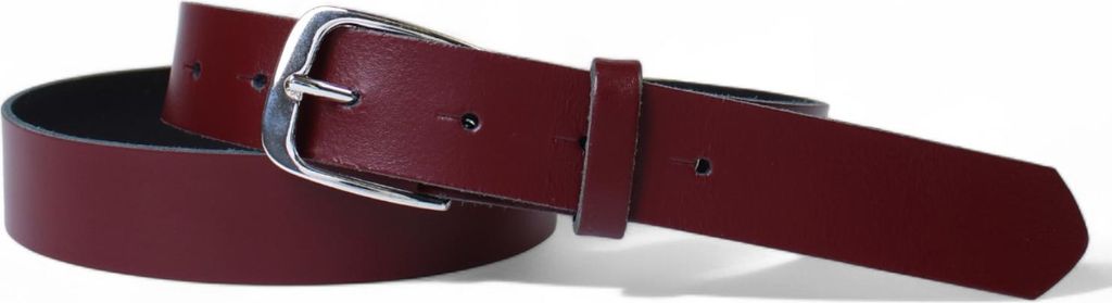 FRONHOFER Damen Ledergürtel 2,8 cm mit silber glänzenden Gürtelschnalle, echt Leder