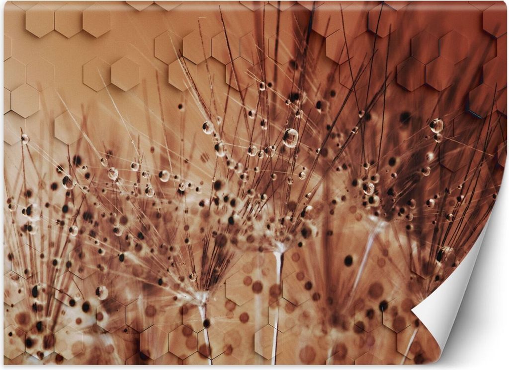 Vlies fototapete Pusteblumen in Tautropfen 350x245 cm Feeby Braun inkl. Kleber einfache Montage