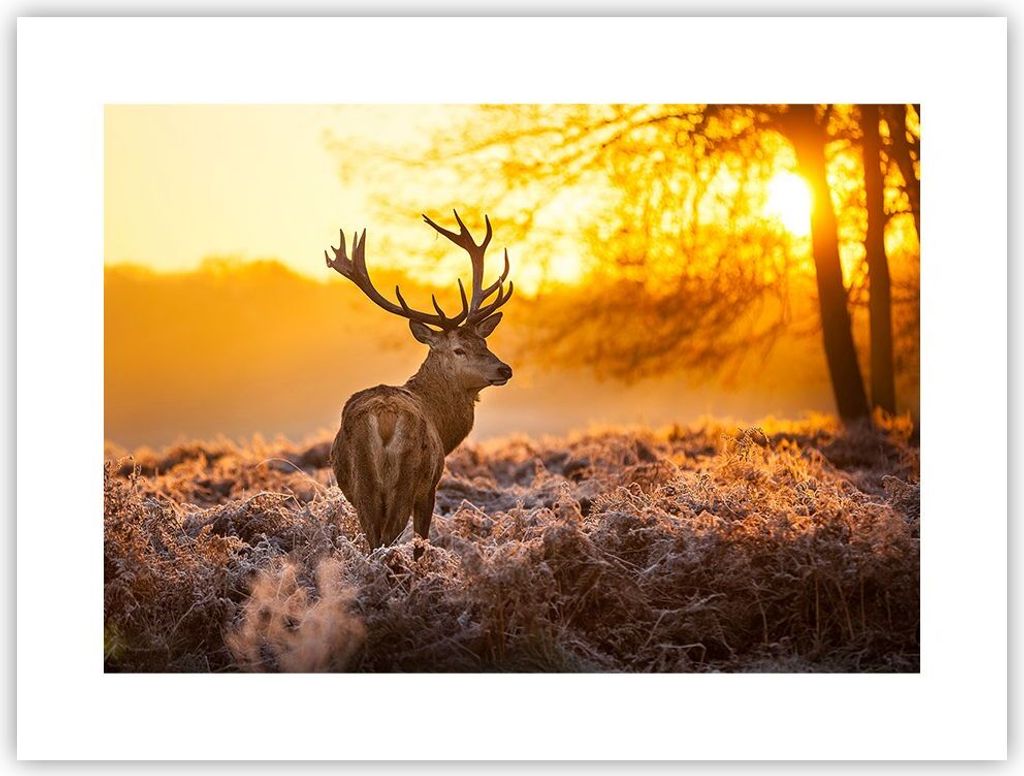 Poster - Poster ohne Rahmen - Herbst landschaft natur blatt - 40x30 cm - Wand Bild - Wanddeko - Wandbilder - Kunstposter - Wandposter - Bilder - Ku...