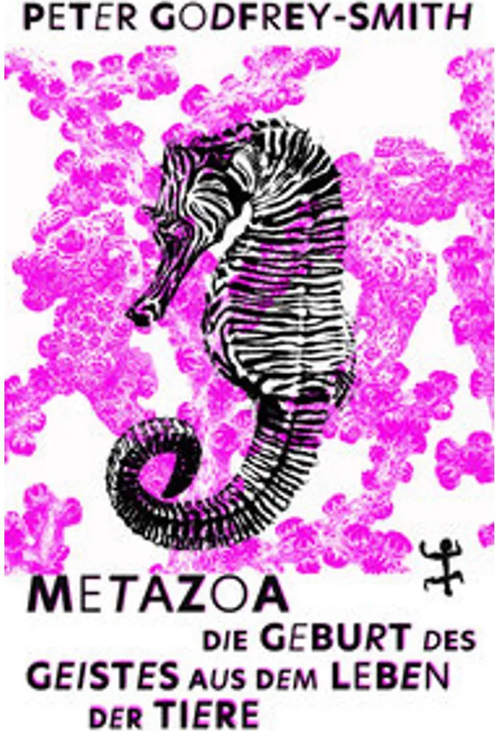 Metazoa : Terrarium Anti-Évasion avec Serrure pour Serpent et Gecko
