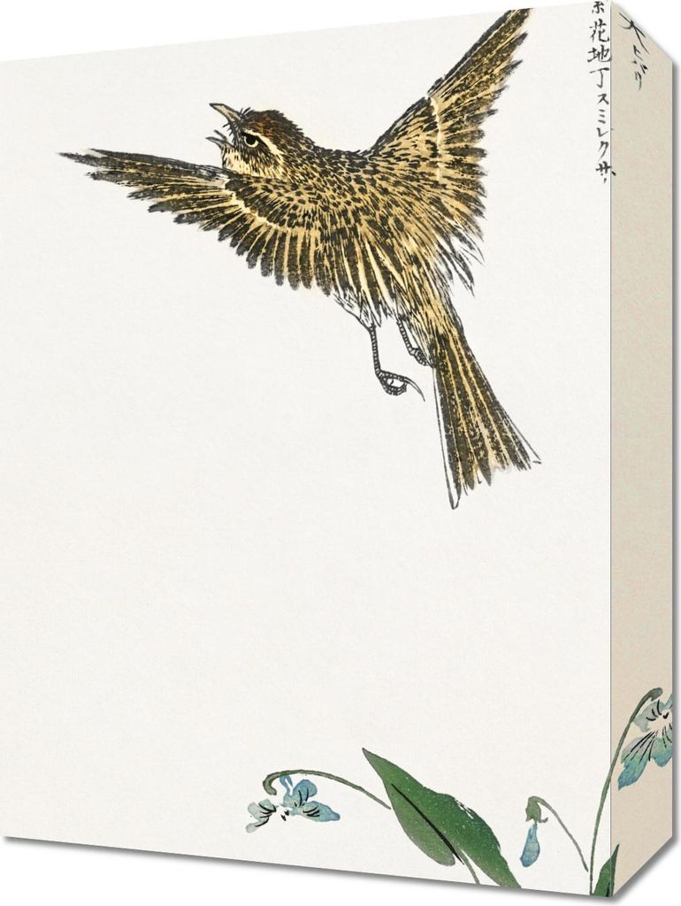 Bild 30x40cm Water-Pipit, Japanische Kashu Vintage für das Wohnzimmer