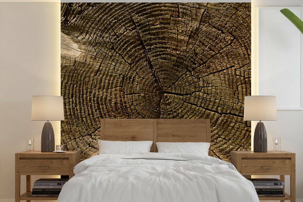 MuchoWow Fototapete für Wohnzimmer oder Schlafzimmer Wandtapete Vinyl Motivtapete Ein Querschnitt eines Baumstamms mit deutlichen Jahresringen -...