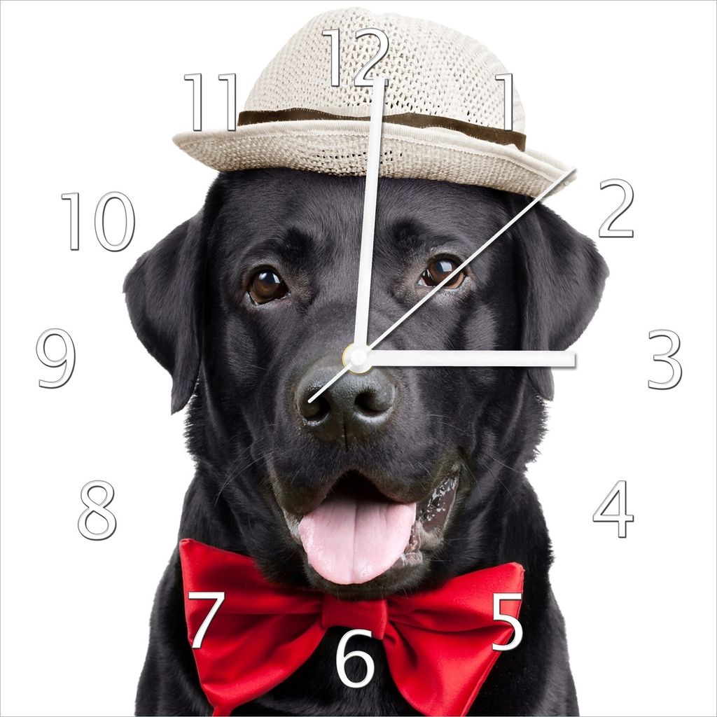 Wallario Design Wanduhr Schwarzer Labrador Retriever mit roter Fliege und Mütze aus Echtglas, Größe 30 x 30 cm
