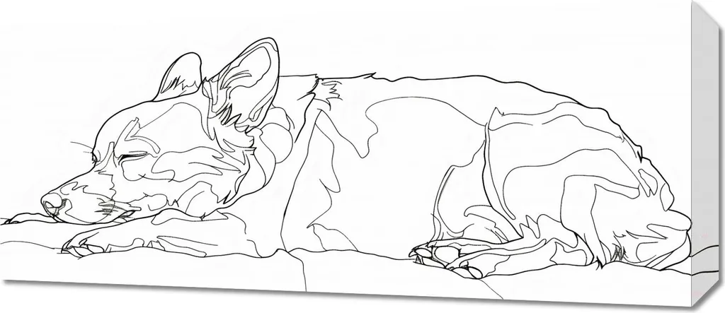 Image Chien Endormi 70x30 cm - Habillez vos Murs Vides avec Tendresse