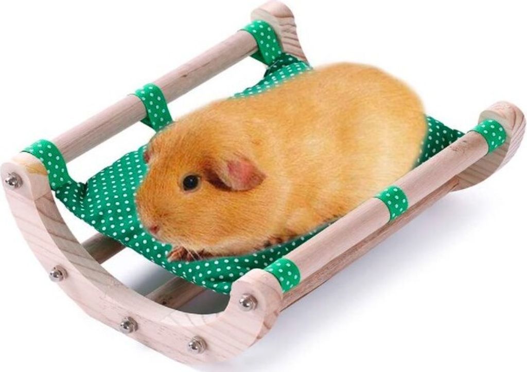 Grün Meerschweinchen Bett Igelpad Bett Spielzeug Käfig Zubehör Holz Abnehmbarer