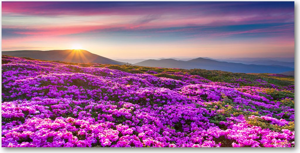 Tulup Glas-Bild - 100x50 -Wandkunst - Wandbild hinter gehärtetem Sicherheitsglas - Blumen & Pflanzen - Blumen Berge - Lila