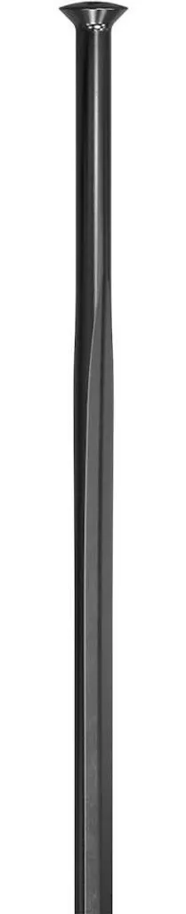 Rayon aérodynamique DT Swiss Aero Comp 294 mm noir pour jante profilée