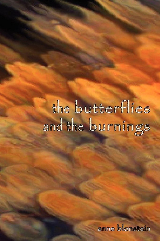 The Butterflies and the Burnings, Blonstein, Anne ,,