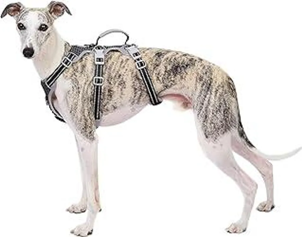 Pettorina Huntboo Escape Proof M: Controllo Totale e Sicurezza per Cani
