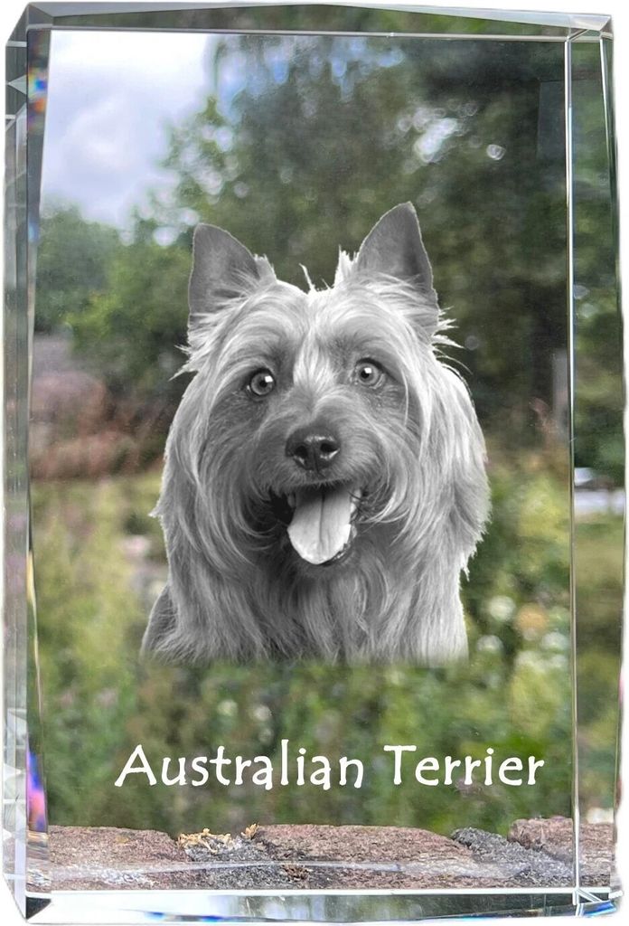 Australian Terrier - Kristall mit einem Hundebild, Bild im Glas, moderne Ausstellung des Art-Dog-Bildes.