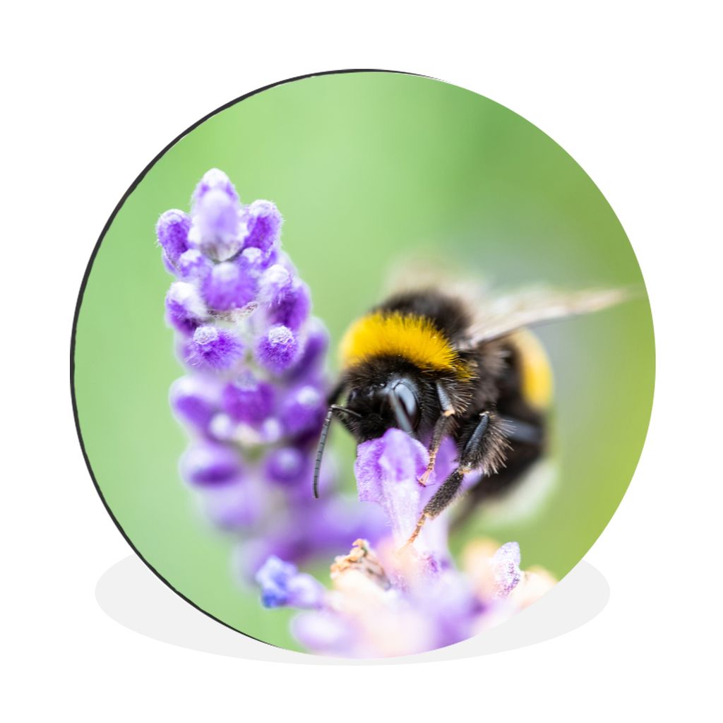 MuchoWow Aluminium Wandkreis Hummeln - Insekten - Lavendel Ø 90 cm Wanddeko Modern Wohnzimmer - Mauerkreis - Wandbilder - Runde Bild - Bild aus ...
