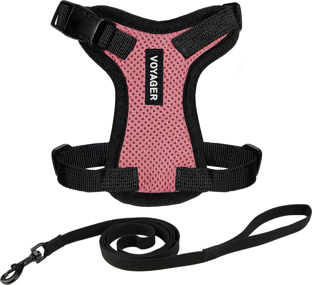 Voyager Step-in Lock Katzengeschirr und reflektierende Katzenleine mit Neoprengriff by Best Pet Supplies - Unterstützt kleine, mittlereund große ...