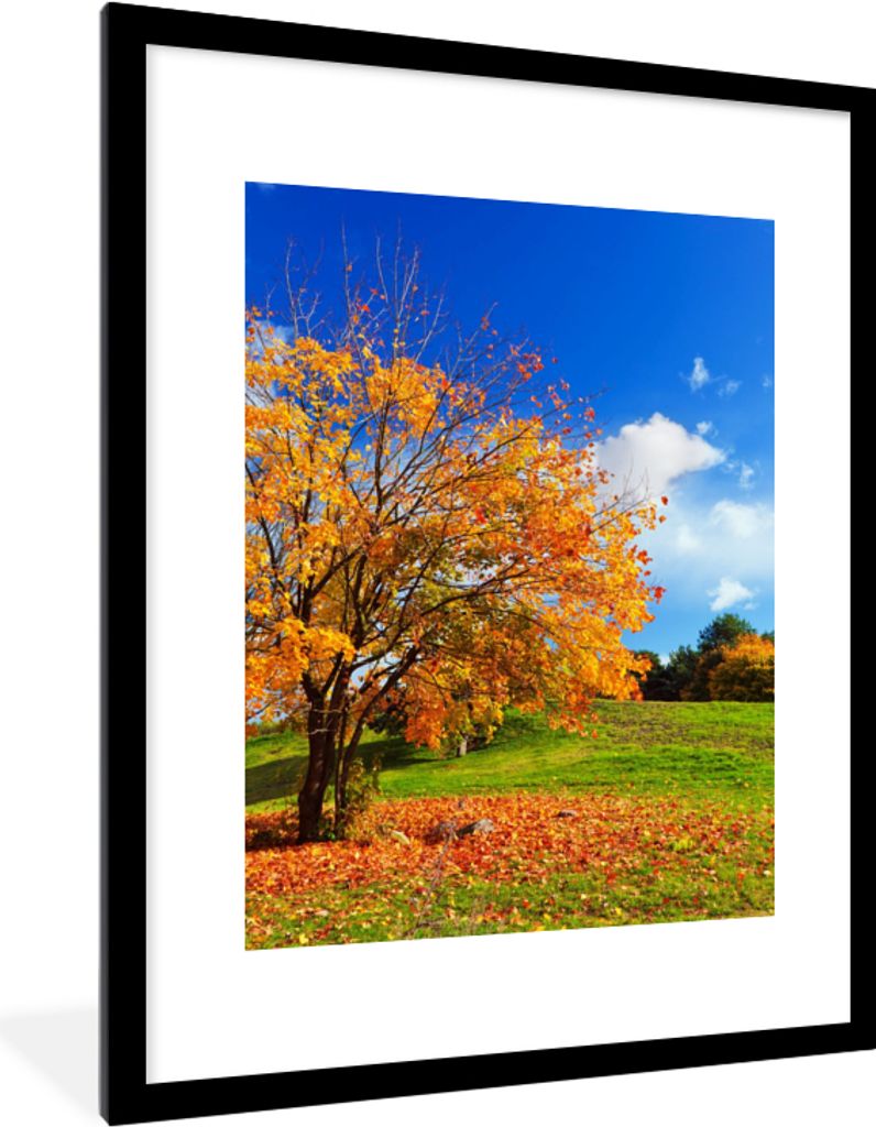 MuchoWow Gerahmtes Poster Baum - Blätter - Herbst - Jahreszeiten 60x80 cm - Poster mit Schwarzem Bilderrahmen Wandposter Rahmen Foto Bilder - Wo...