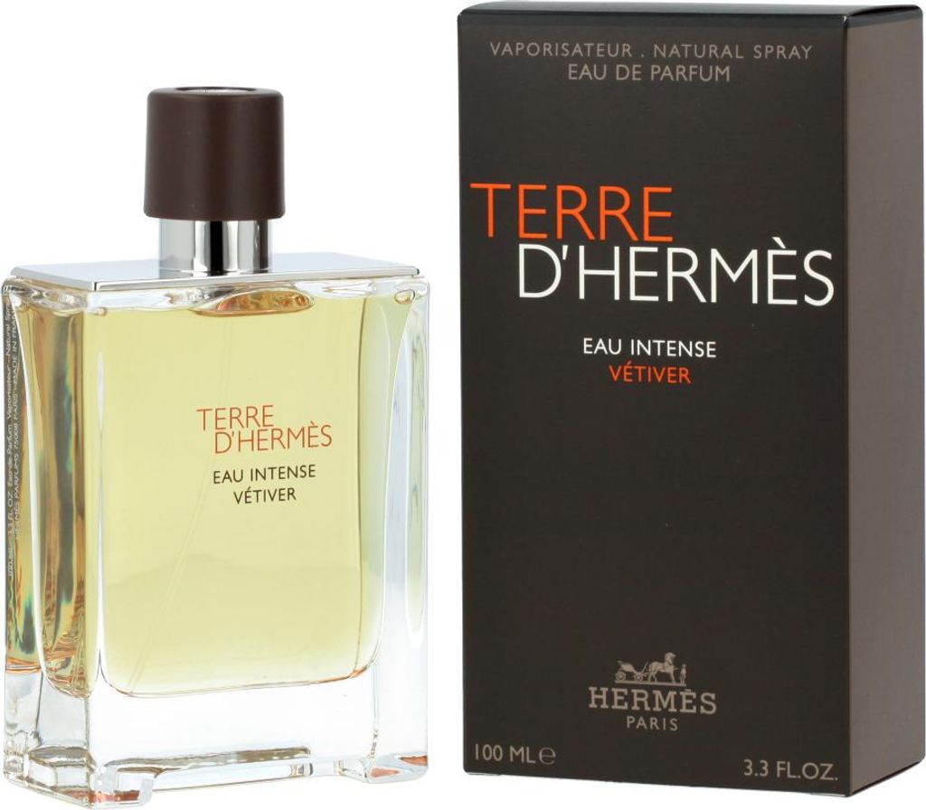 Hermes Terre d'Hermès Eau Intense Vetiver, Pánské, 100 ml, Obrázek produktu 