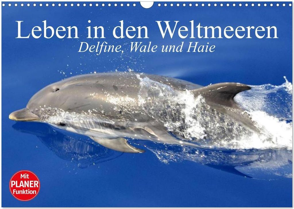 Leben in den Weltmeeren. Delfine, Wale und Haie (Wandkalender 2026 DIN A3 quer), CALVENDO Monatskalender