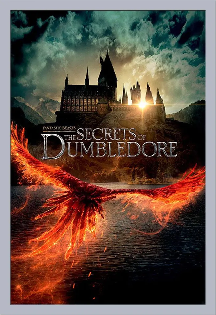 Cadre avec Poster Fantastic Beasts Secrets Dumbledore - MDF Argent Shinsuke