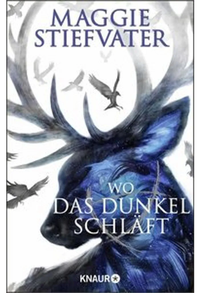 Wo das Dunkel schläft : Le livre idéal pour ne plus s'ennuyer le soir