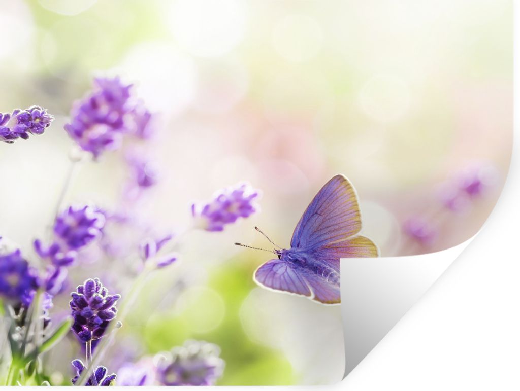 MuchoWow Wandtattoo Wandsticker Wandaufkleber Lavendel - Schmetterling - Blumen 120x90 cm Selbstklebend und Repositionierbar - Aufkleber