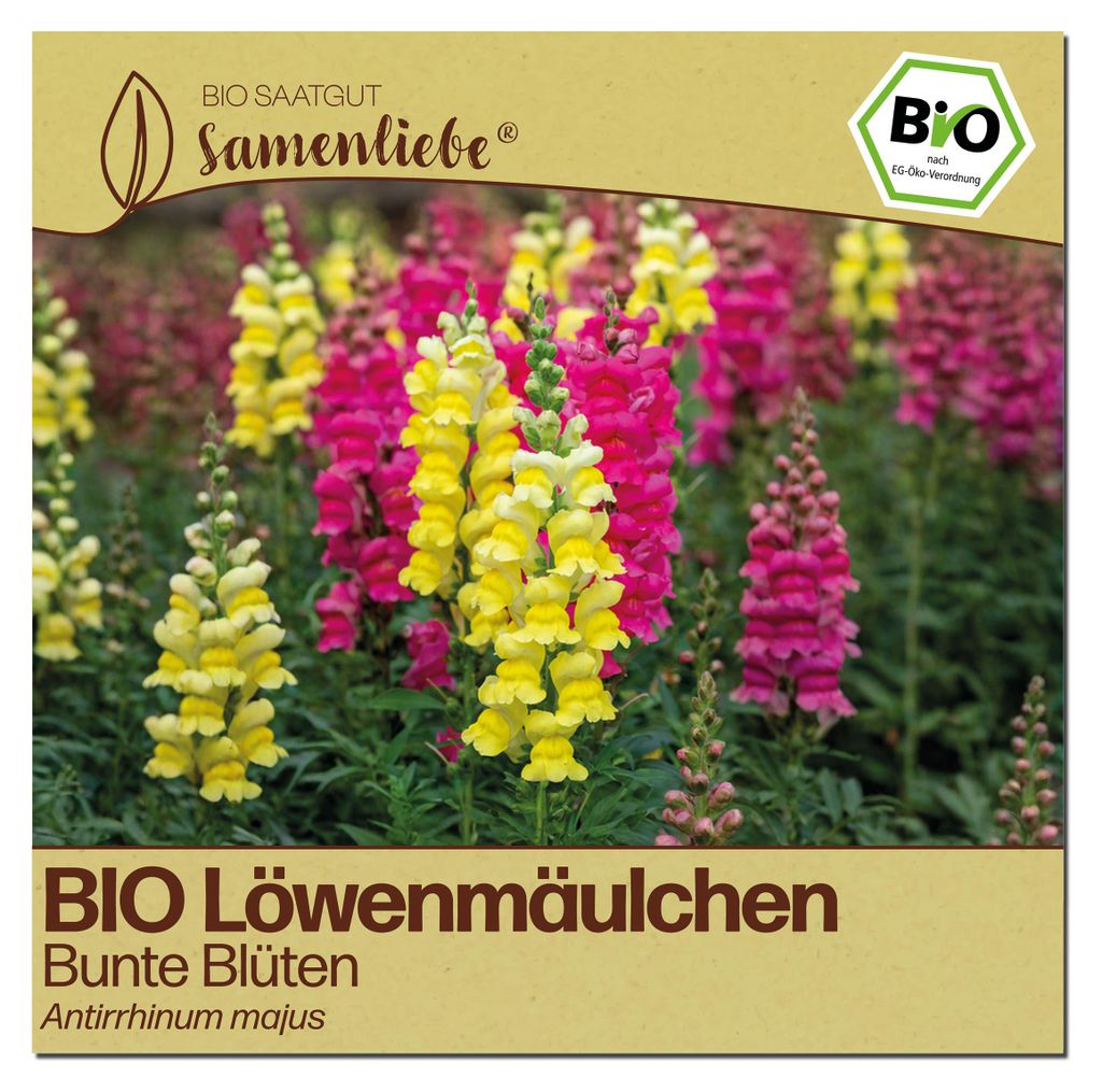Samenliebe Löwenmäulchen Samen | Bunte Blüten - samenfestes Saatgut