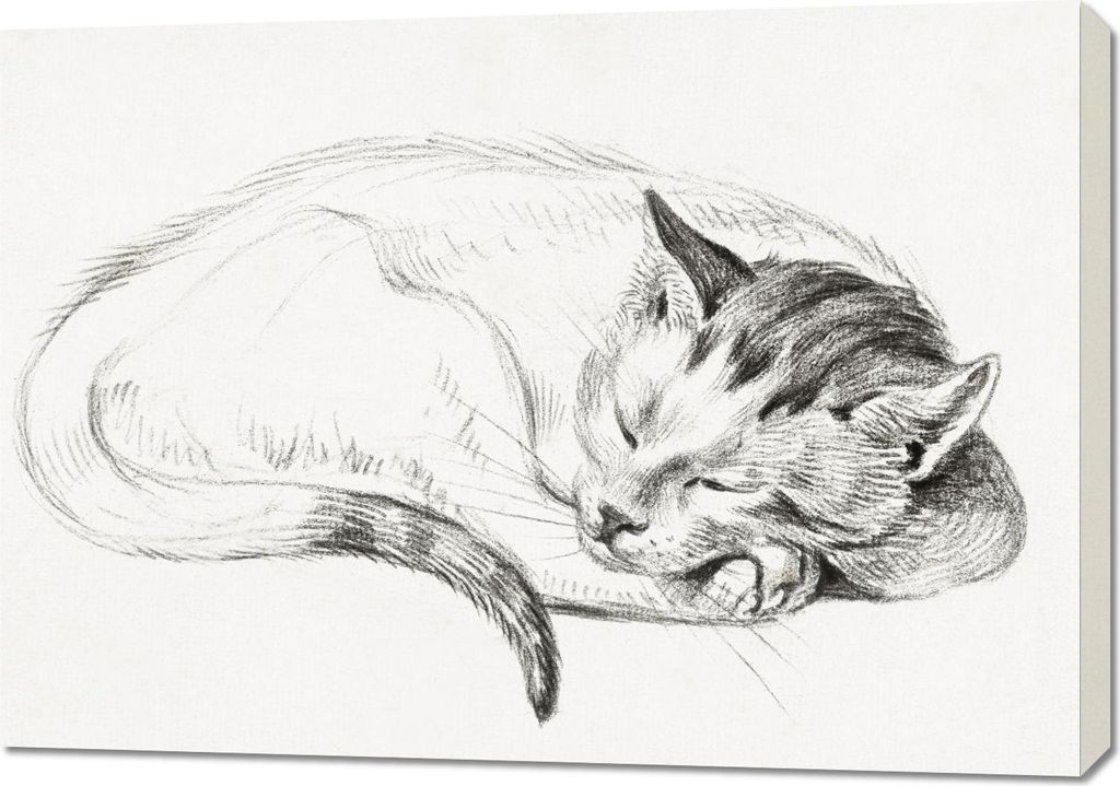 Bild 100x70cm Schlafende Katze 2, Jean Bernard Vintage fürs Wohnzimmer