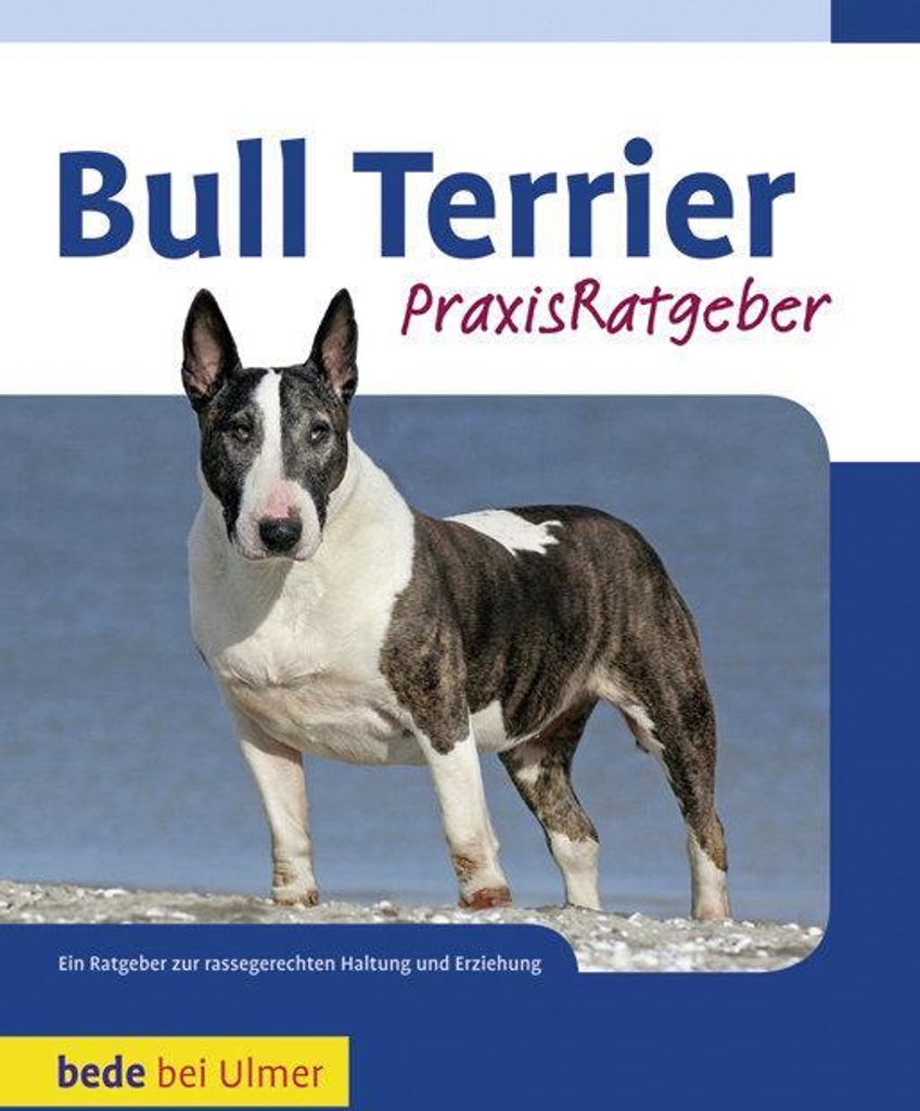 Bull Terrier