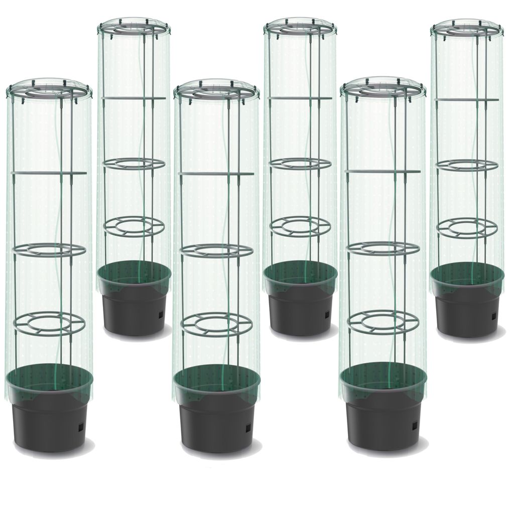 6x Tomatenpflanze mit Deckel und Folie Pflanzkübel 18 L, Tomatenzüchter, Tomatentopf, Übertopf, Gemüsen, Tomaten WaschendeTomatenpflanze Deckel...