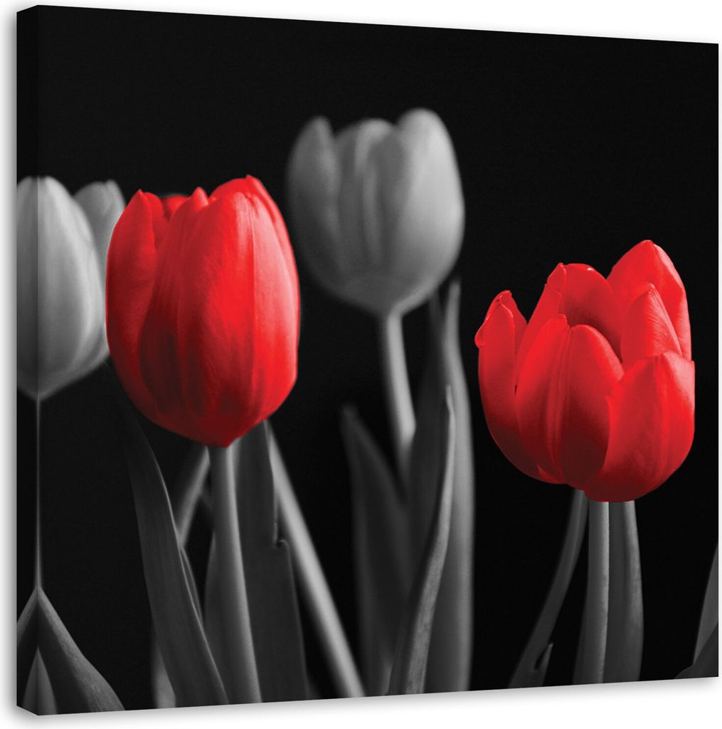 Leinwandbild rote tulpen 40x40 cm Feeby rot wandbild bereit zum aufhängen