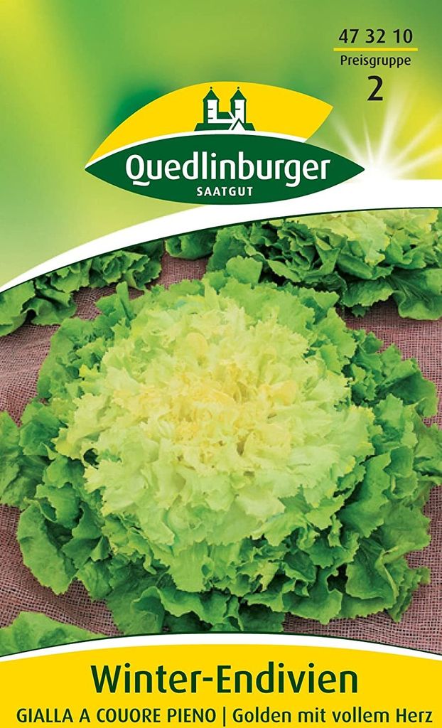 Winter-Endivien Gialla a cuore pieno Produktbild 