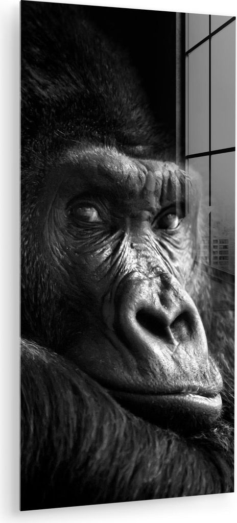 MuchoWow Glasbilder - Bilder auf Wandbild - Foto auf Glas Gorilla - Affe - Schwarz - Weiß - Porträt 60x120 cm Wanddekoration aus Glas - Acrylglas...