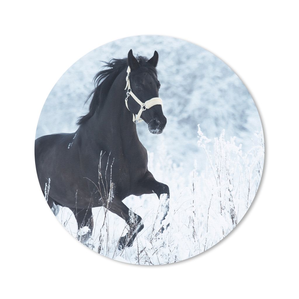 MuchoWow Mauspad Mousepad Pferd - Schnee - Winter 50x50 cm - Mousepads - Maus Mat - Pad - Mausunterlage - Vinyl