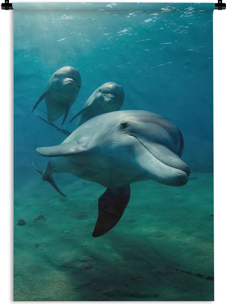 MuchoWow Wandteppich Wandbehang Wasser - Delphin - Blau 120x180 cm Tapisserie Dekoration Wandtuch - Schlafzimmer - Dekorationen für das Haus