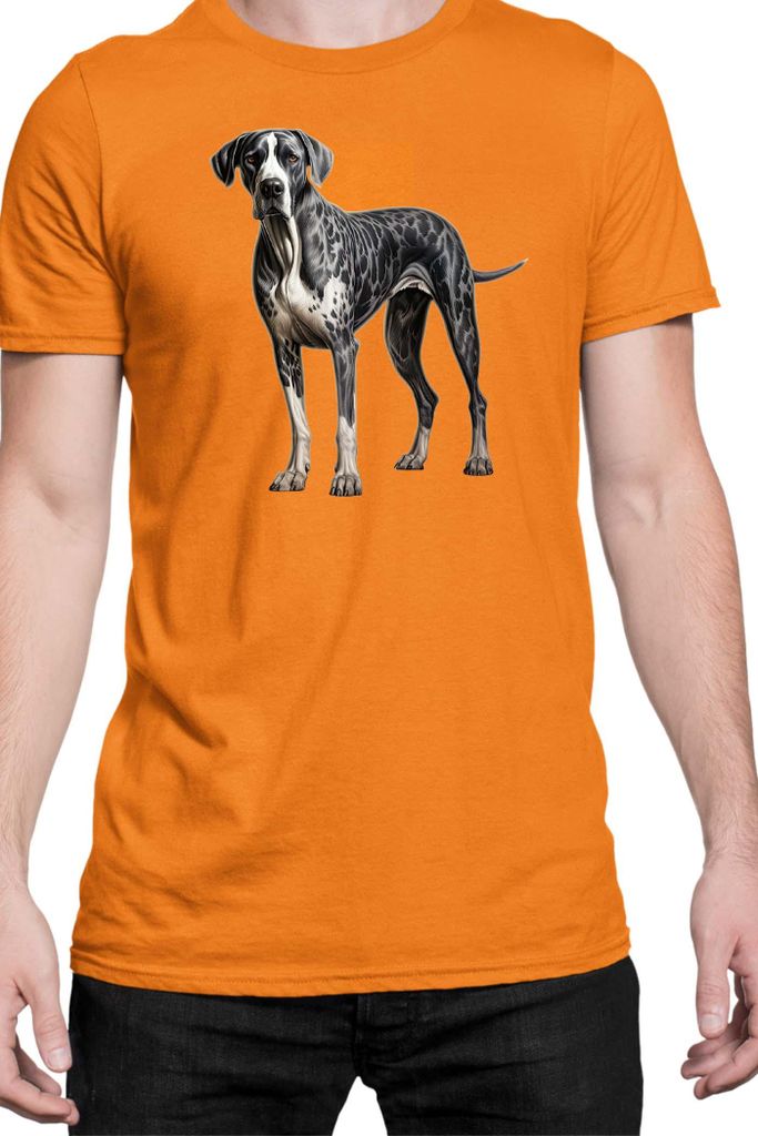 Herren T-Shirt Dogs Breeds Havanese Dog Breed 005, Man 2XL / Orange