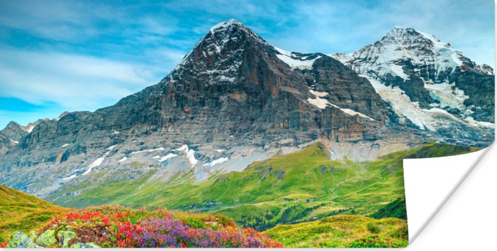 MuchoWow Poster Blumen - Berge - Schnee - Landschaft 40x20 cm - Poster für die Wand - Poster Schlafzimmer