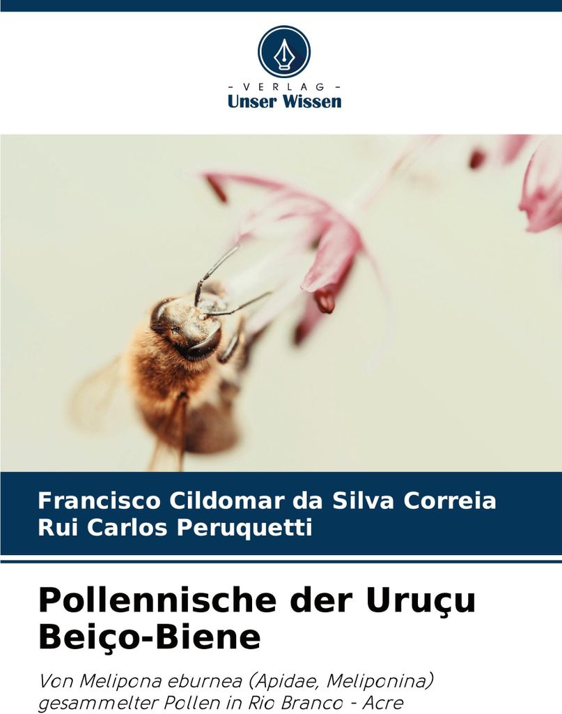 Pollennische der Uruçu Beiço-Biene