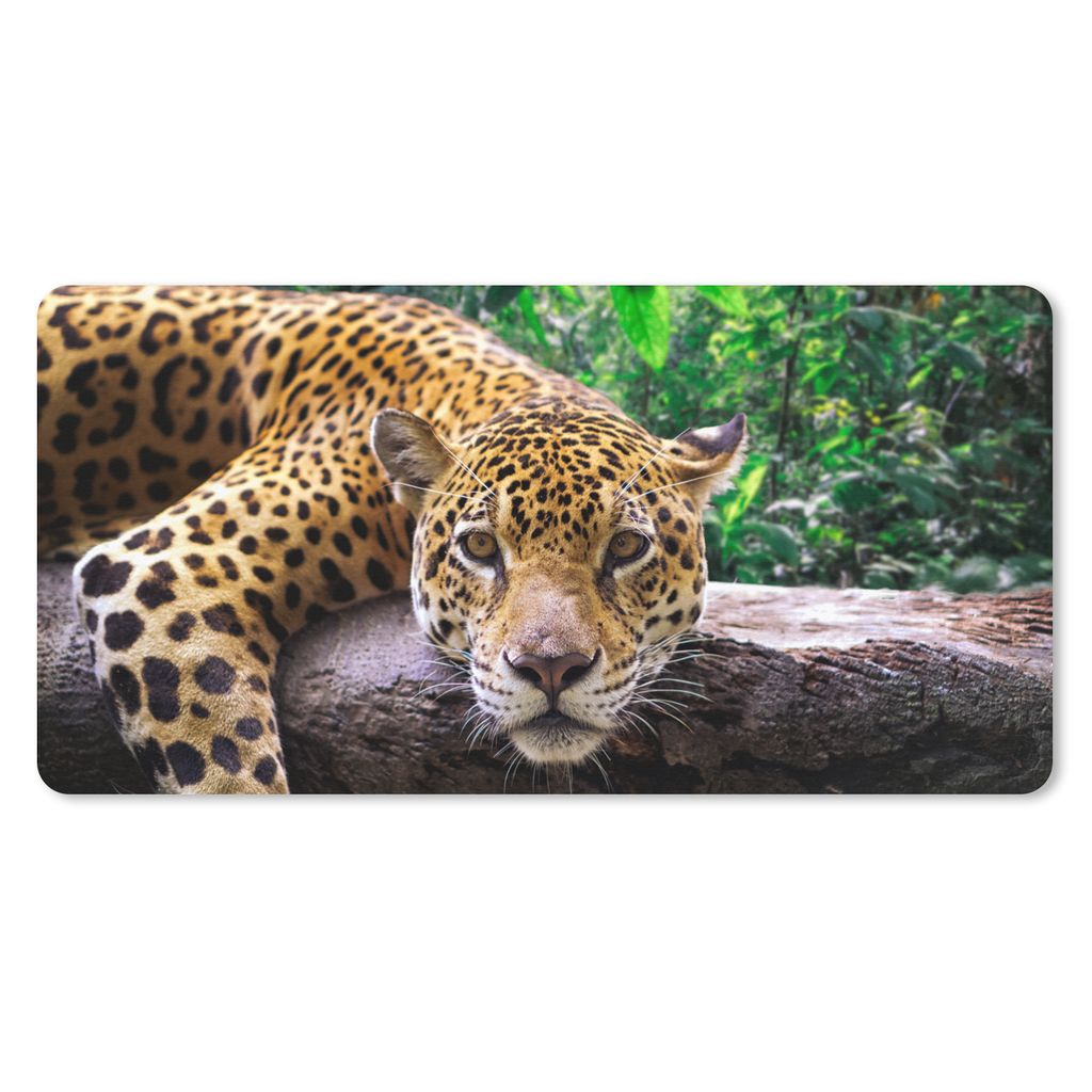MuchoWow Mauspad Mousepad Jaguar ruht 60x30 cm - Mousepads - Maus Mat - Pad - Mausunterlage - Nachhaltig