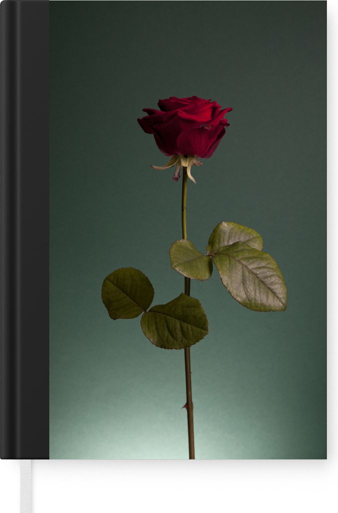 MuchoWow Notizbuch Tagebuch Haushaltsbuch Notebook A5 Rosen - Rose - Rot - Notizblock - Notizheft - Notebook - Schreibblock - Papier