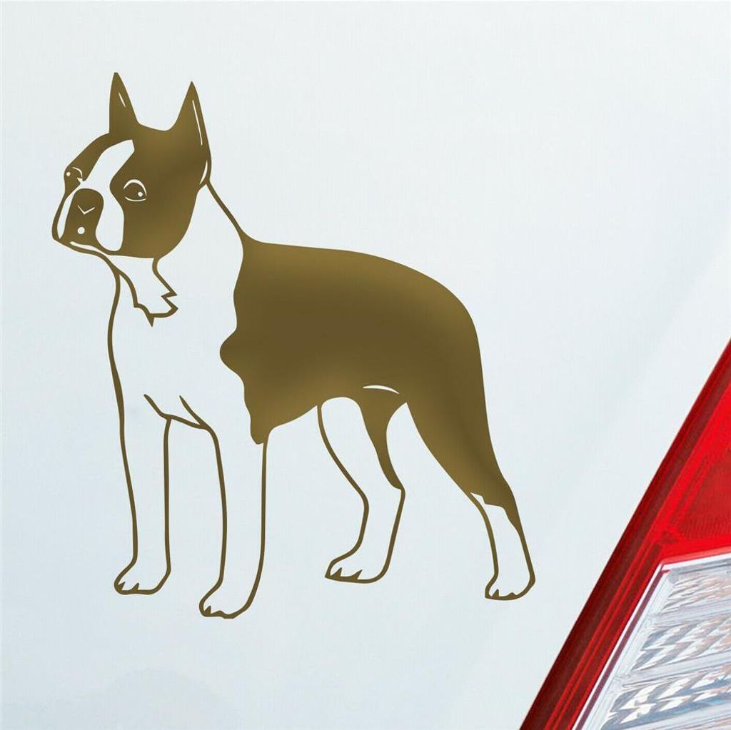 Auto Aufkleber Boston Terrier Hund Dog Animal 12x10 cm Gold Sticker Heckscheibenaufkleber
