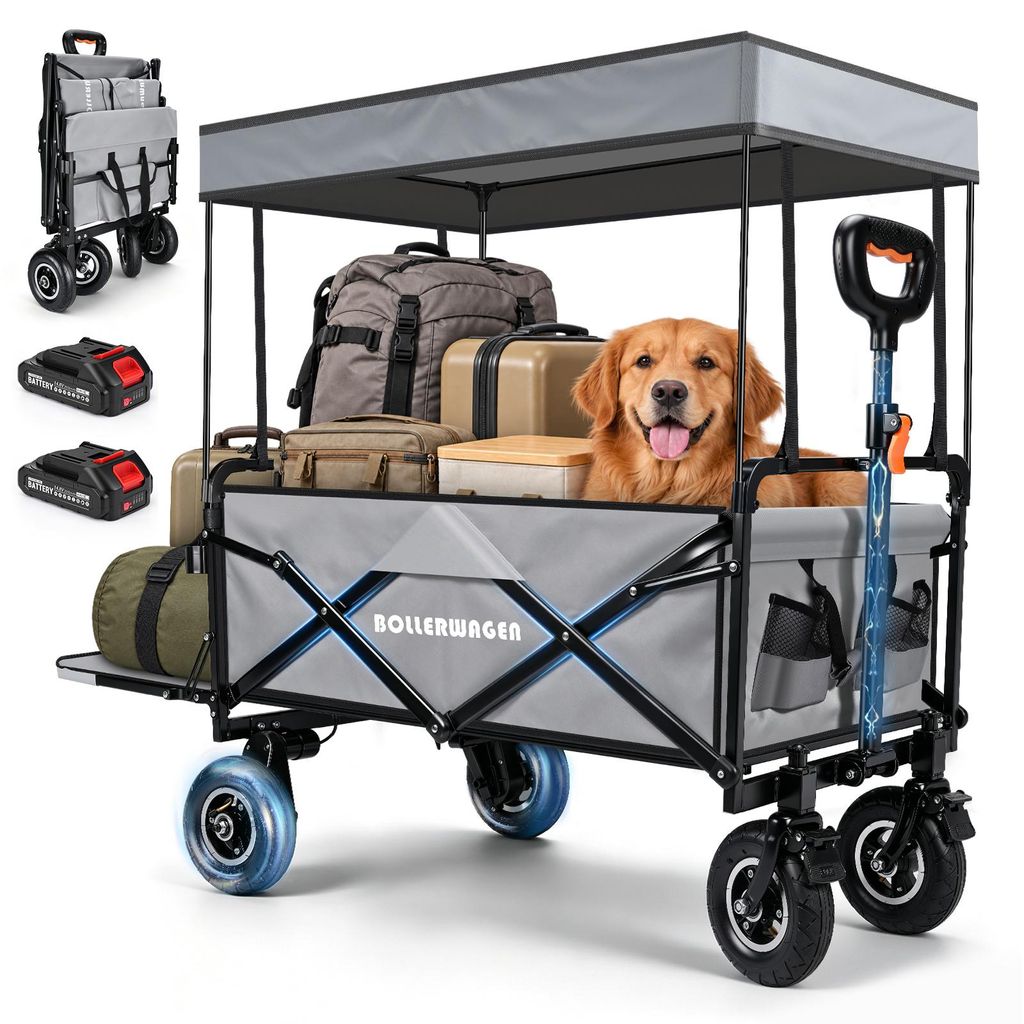 Chariot électrique avec toit de protection et pneus Image du produit 