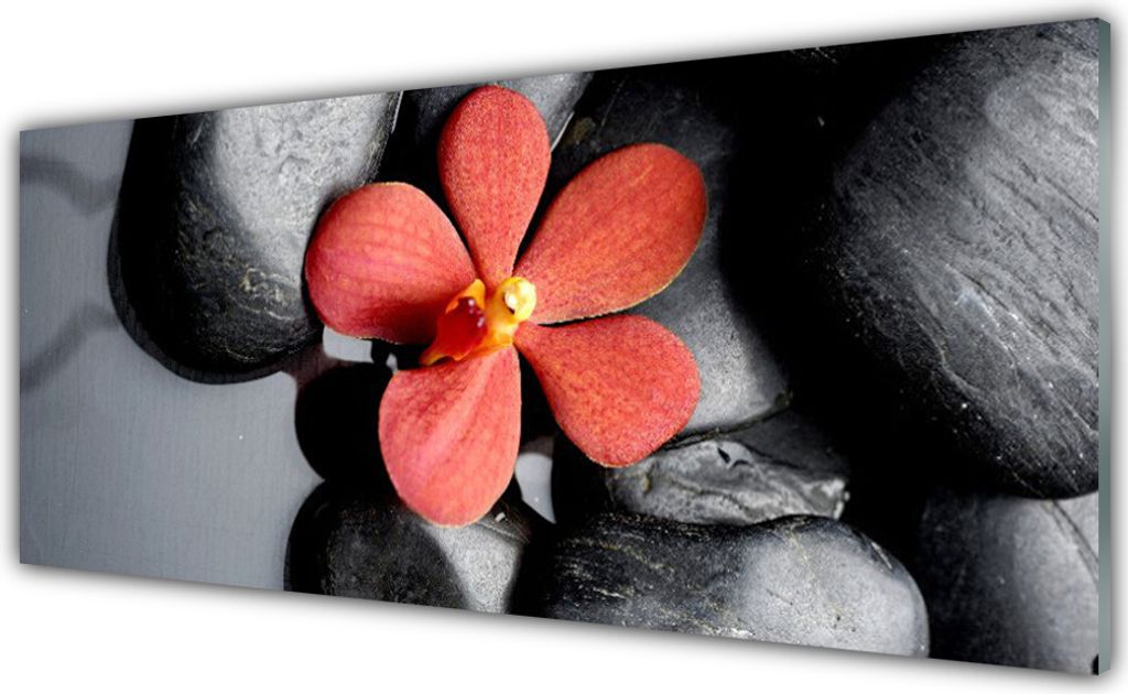 Glasbilder 125x50 Wandbild Druck auf Glas Blume Steine Kunst